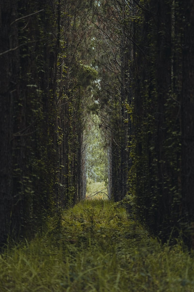 Fairy Garden Pathway